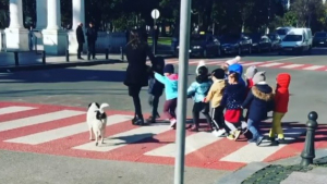 Illustration : Un chien arrête la circulation pour permettre à des enfants de traverser la rue