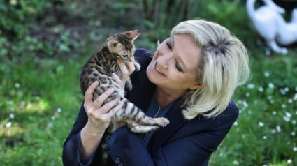 Illustration : La vie secrète de Marine Le Pen sur son compte Instagram, celle consacrée à ses chats ! 