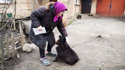 Illustration : A une retraitée qui se plaint du coût de la vie, un député ukrainien lui répond de vendre son chien