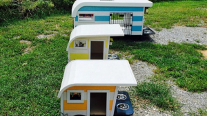 Illustration : Ces niches en forme de camping-cars miniatures sont la dernière tendance canine aux Etats-Unis