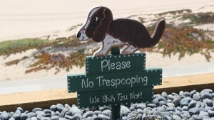 Illustration : Une commune italienne utilise l’ADN prélevé sur les crottes de chiens pour sanctionner les propriétaires qui ne ramassent pas