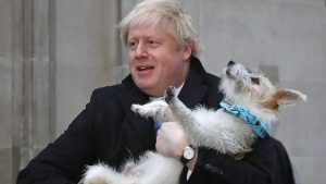 Illustration : Boris Johnson et sa fiancée ont-ils voulu abandonner leur chien ?