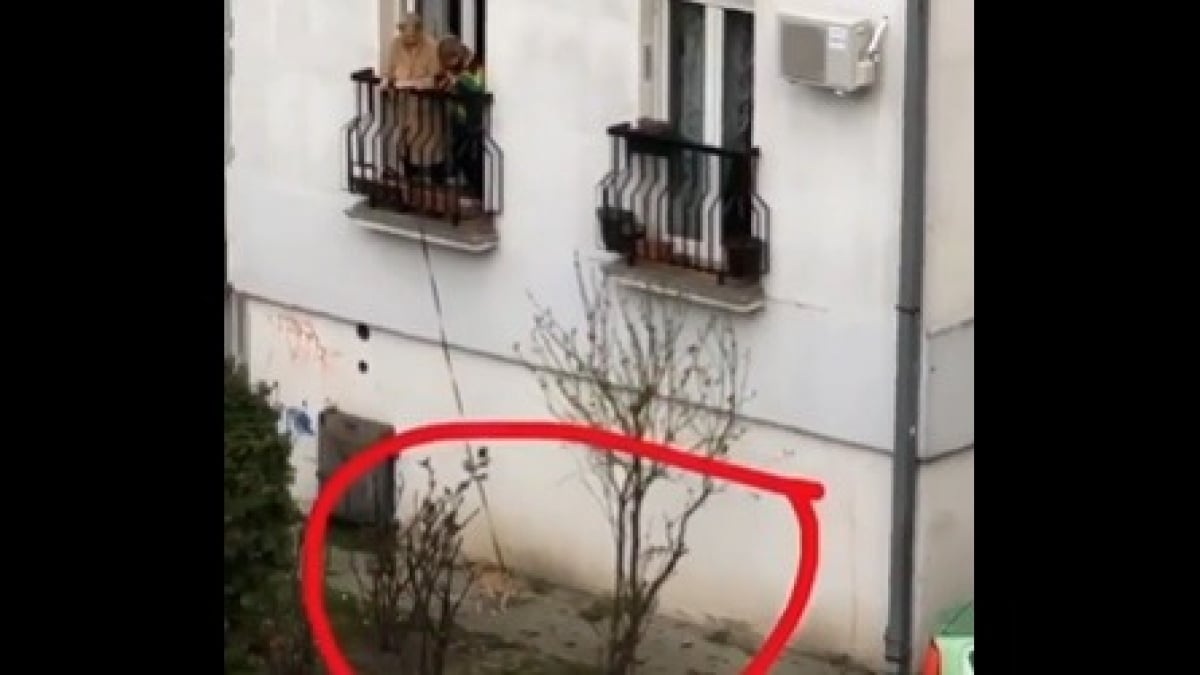 Illustration : "En Serbie, une femme promène son chien depuis son balcon (vidéo)"