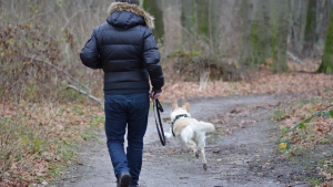 Illustration : 2 personnes essayent d’adopter un chien pour la période de confinement