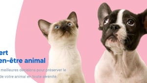 Illustration : Animoscope lance Veto-Check un service en ligne pour analyser les symptômes de votre chien ou chat