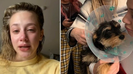 Illustration : En larmes, l’actrice de Riverdale Lili Reinhart raconte l’attaque dont son chien a été victime