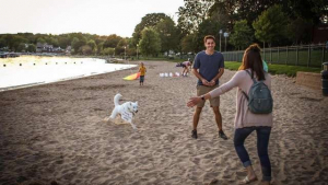 Illustration : "Alors qu'il devait aider son maître à faire sa demande ce chien perd son objectif de vue ! "