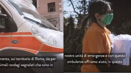 Illustration : En Italie, une ambulance vétérinaire pour transporter les animaux souffrants et aider ceux errants