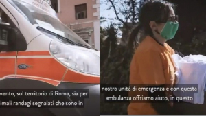 Illustration : En Italie, une ambulance vétérinaire pour transporter les animaux souffrants et aider ceux errants