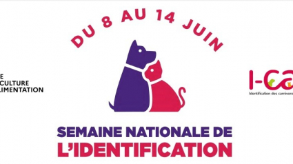 Illustration : La Semaine nationale de l’Identification des chiens et des chats se tiendra du 8 au 14 juin