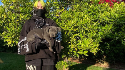 Illustration : Billie Eilish, folle du chien qu'elle vient tout juste d'adopter ! 