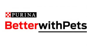 Illustration : Prix Purina BetterwithPets 2020 : 3 initiatives françaises en finale le 3 juin prochain