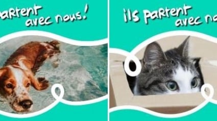 Illustration : « Ils partent avec nous » : la campagne de sensibilisation contre l’abandon des animaux à l’approche des vacances continue