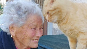 Illustration : Perdu dans le tremblement de terre qui a détruit son foyer, un chat retrouve sa propriétaire qui ne l'a pas oublié !