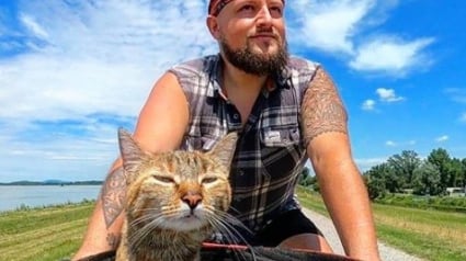 Illustration : Sauvé lors d'un périple à vélo, ce chat est aujourd'hui le partenaire de voyage parfait pour cet homme ! 