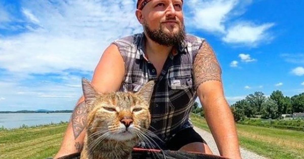 Sauve Lors D Un Periple A Velo Ce Chat Est Aujourd Hui Le Partenaire De Voyage Parfait Pour Cet Homme