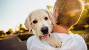 Illustration : Selon cette étude, avoir un chien est un moyen de prolonger votre espérance de vie ! 