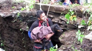 Illustration : Coincé dans le fond d'un puits, ce chiot se met à pleurer lorsqu'il comprend ce que lui réservent les sauveteurs !