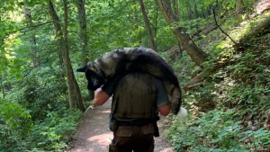 Illustration : Un militaire sauve la vie d'un chien errant mourant en le transportant sur ses épaules pendant des kilomètres !