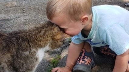 Illustration : 12 photos d'animaux tellement craquantes qu'elles balaieront tout ce qui rend votre vie difficile ! 