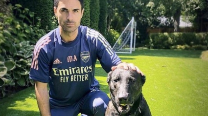 Illustration : Mikel Arteta, coach de l'équipe de football d'Arsenal, adopte lui aussi un chien de garde pour la somme de 22 000 euros ! 