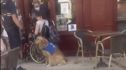 Illustration : "Quoi qu’il arrive, vous ne rentrez pas" : un commerçant refuse l'entrée d'une personne handicapée à cause de son chien d'assistance