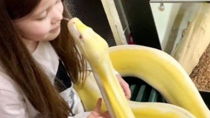 Illustration : Depuis l'âge de deux ans, cette jeune fille vit sa passion pour les animaux aux côtés de son meilleur ami : un python de 5 mètres !