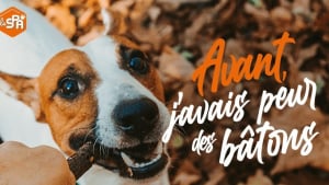 Illustration : Après l’abandon de plus de 8000 chiens et chats cet été, la SPA lance "le Mois de l’adoption"