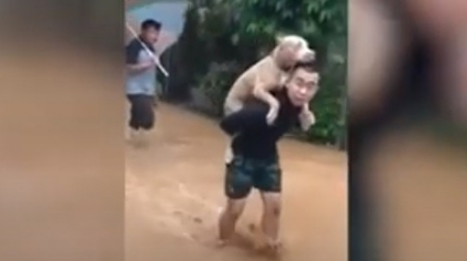 Illustration : Menacé par des inondations, cet homme porte un Pitbull sur ses épaules sous une pluie torrentielle pour le sauver !