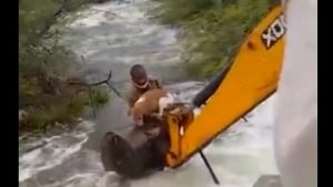 Illustration : Cet homme s'accroche à son véhicule de chantier pour tenter de sauver un chien pris au piège par le puissant courant d'une rivière en crue ! (Vidéo)