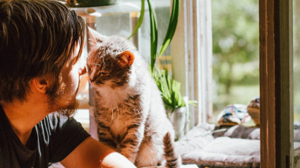 Illustration : Poster des photos de son chat sur les réseaux : une mauvaise idée pour les hommes célibataires ?