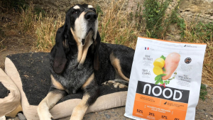 Illustration : À peine arrivée en France, la marque de petfood "Nood" s'engage auprès des animaux en difficulté