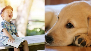 Illustration : "Le temps de lecture des enfants grandement augmenté en présence de chiens de thérapie ? "