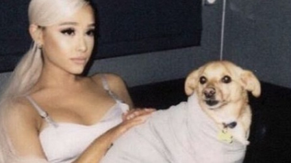 Illustration : Fière maman de 10 chiens qu'elle a adoptés, Ariana Grande célèbre l'ouverture de son refuge avec ses fans ! 