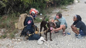 Illustration : "Interpellé par les cris d'un propriétaire paniqué, un ambulancier descend 20 mètres en rappel pour tenter de sauver son chien !"