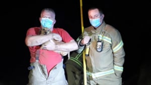 Illustration : Les pompiers interviennent et sauvent un Teckel coincé 4 heures sous un arbre dans un terrier de lapin