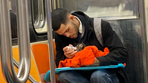 Illustration : Émue par le comportement d'un homme dans le métro new-yorkais, elle découvre qu'il vient de sauver un chaton errant entre deux immeubles