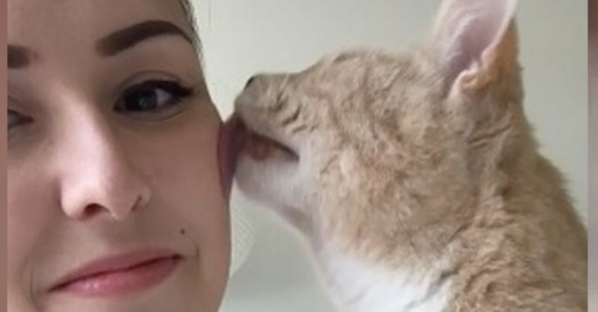 Video Cette Femme Ne Voulait Pas De Chat Dans Sa Vie Grace A Ce Felin Qui Lui Fait Une Lechouille Chaque Jour Elle Est Devenue Accro