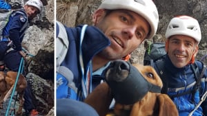 Illustration : 2 gendarmes interviennent à 2 600 mètres d'altitude pour venir en aide à un chien coincé 2 nuits entières en montagne