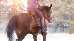 Illustration : Travailler son cheval quand la carrière est gelée