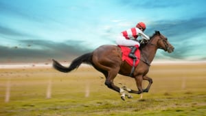 Illustration : Acheter un cheval de course