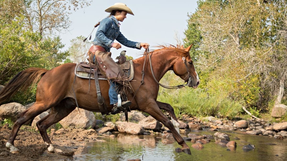 L'équitation western : disciplines, races de chevaux adaptées et équipement  spécifique