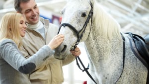Illustration : Devenir propriétaire d’un cheval : les questions à se poser avant de franchir le pas