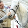 Illustration : Devenir propriétaire d’un cheval : les questions à se poser avant de franchir le pas