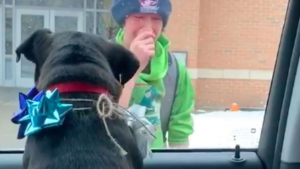 Illustration : Ému par la perte de son chien, un jeune homme fond en larmes quand ses parents lui ramènent son chien à la sortie de l'école