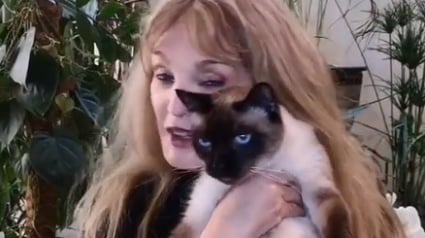 Illustration : Arielle Dombasle offre 10 000 € à l'association " Les chats de Stella" en remportant l'émission "Les Reines du shopping" sur M6