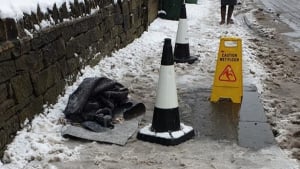 Illustration : 2 chiens s'électrocutent en marchant dans la rue. Un chauffeur s'arrête et réalise un sauvetage hors du commun