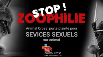 Illustration : Zoophilie : une association réclame un durcissement du texte de loi sur la maltraitance des animaux