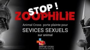 Illustration : Zoophilie : une association réclame un durcissement du texte de loi sur la maltraitance des animaux