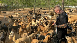 Illustration : Un homme crée et offre un refuge à plus de 2000 chiens et chats handicapés pour leur offrir l'aide et les soins nécessaires !